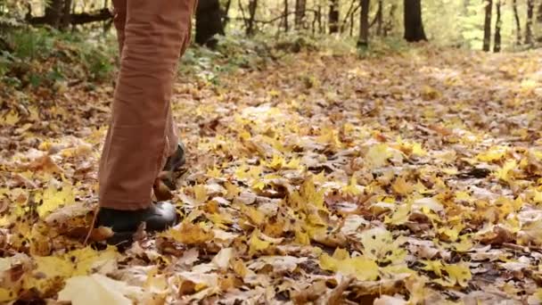 足の地面にスローモーションビデオを歩いてください。秋の黄色の葉。都市公園の古典的な靴でメンズ足 — ストック動画