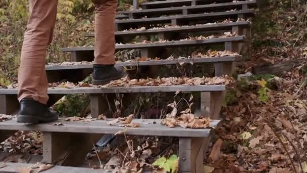 Le gambe chiudono le scale video al rallentatore. fogliame giallo autunno. Piedi da uomo in scarpe classiche nel parco cittadino Clip Video