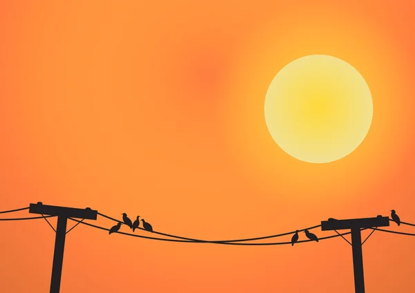 Vecteur : Oiseaux sur poteau électrique avant le coucher du soleil — Image vectorielle