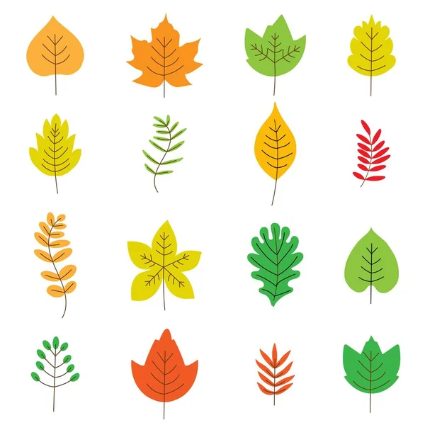 Jardim. Verde. Conjunto de folhas de plantas diferentes coloridas, isoladas em fundo branco. Desenhos animados simples estilo plano, ilustração vetorial. — Vetor de Stock