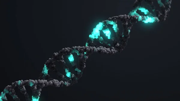 DNA strand spiral double helix 3D Render