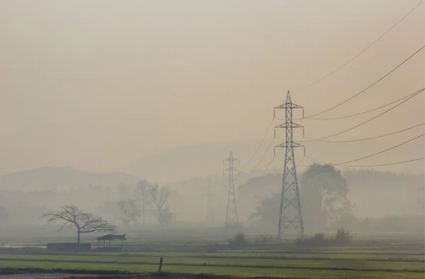 Postes eléctricos de alto voltaje establecidos en el campo de arroz, Tailandia — Foto de Stock