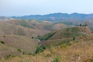 Ormansızlaşma için dağda Chiang Rai pro içinde tarım