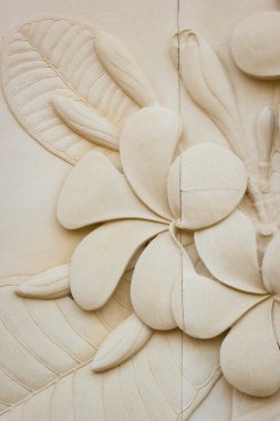 closeup Plumeria taş taş duvarlar, arka plan oyulmuş. Dikey.