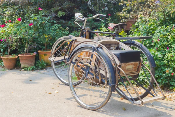 Τσιάνγκ Ράι - 25 Απριλίου: Γουίλερ κλασική τρίκυκλο ποδήλατο στον κήπο φρέσκα στις 25 Απριλίου 2016 για: Τσιάνγκ Ράι, Ταϊλάνδη — Φωτογραφία Αρχείου
