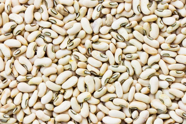 Macro shot of soybeans fills the frame — Stock Photo, Image