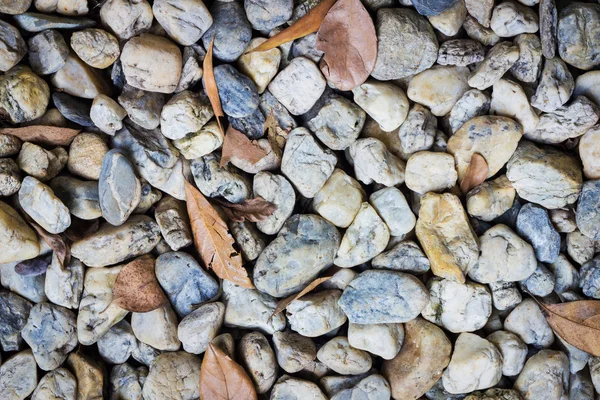 Natural background image of pebbles in the park with dry leaves — Stock Photo, Image