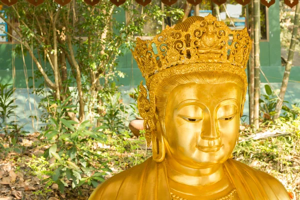 Smiling Chinese Golden Buddha Statue in background of nature — Stock Photo, Image