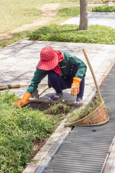 Gardener pulling out weeds in public park in Thailand, motion bl — Stock Photo, Image