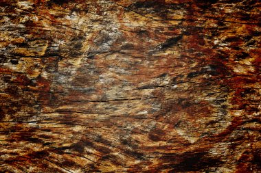 Ahşap doku, duvar arka plan, skeç