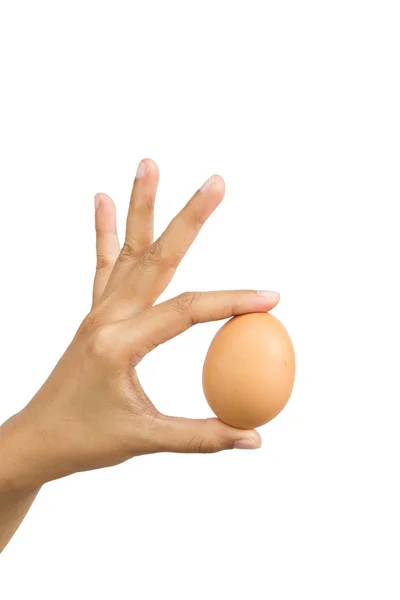 Hand holding an egg isolated on white background — Stock Photo, Image