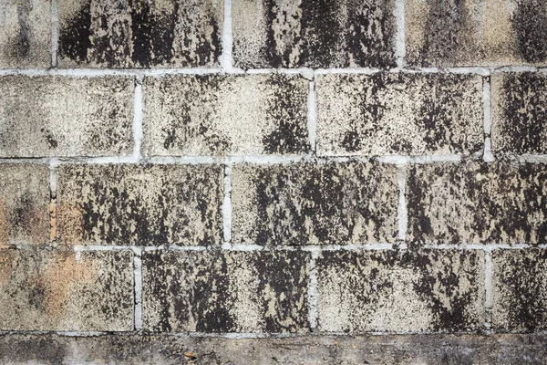 Dirty grunge brick wall background — Stock Photo, Image