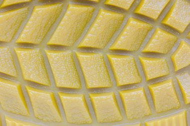 eski doku ve kirli tek bir terlik, arka plan