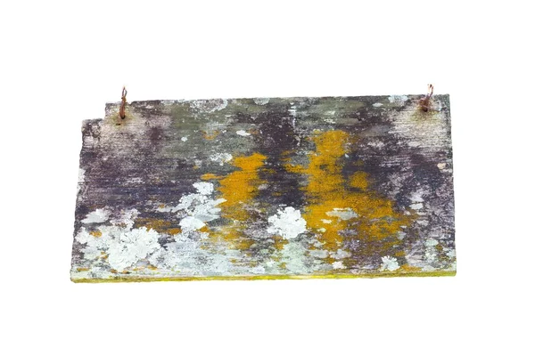 Vecchio legno con muschio e fungo isolato su sfondo bianco — Foto Stock
