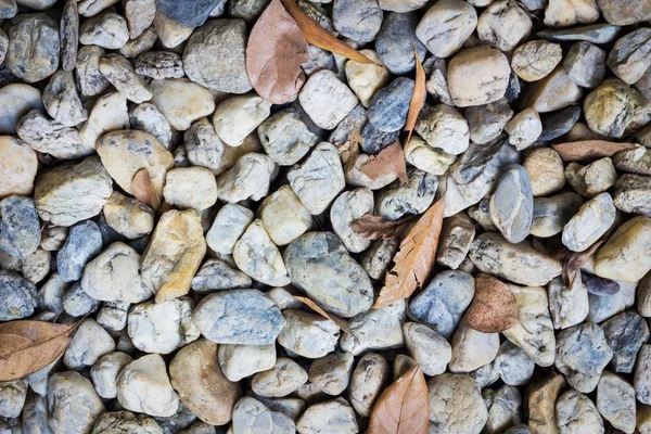 Natural background image of pebbles in the park with dry leaves — Stock Photo, Image