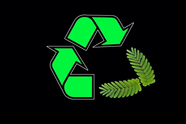 Groen recycle pictogram en tamarinde bladeren geïsoleerd op zwarte backgro — Stockfoto