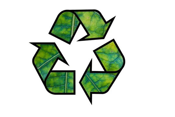 Recycle iconl met blad textuur geïsoleerd op witte achtergrond — Stockfoto