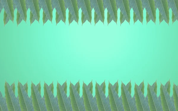 Liście zielone ramki w tle piękne gradientu — Zdjęcie stockowe