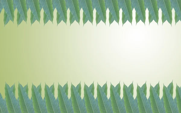 Gröna blad ram i bakgrunden av vackra övertoning — Stockfoto