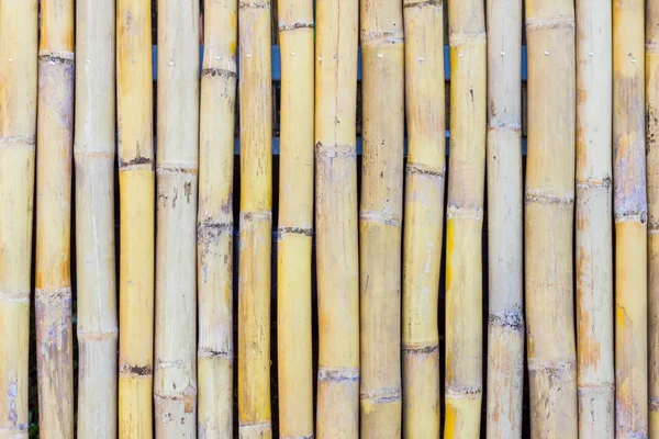 Bambu çit Close-Up — Stok fotoğraf