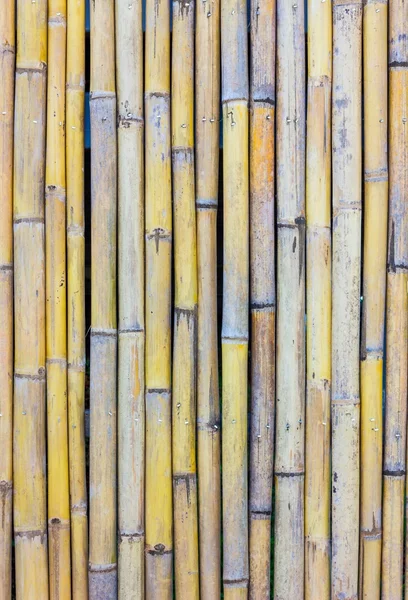 Bambu çit Close-Up — Stok fotoğraf