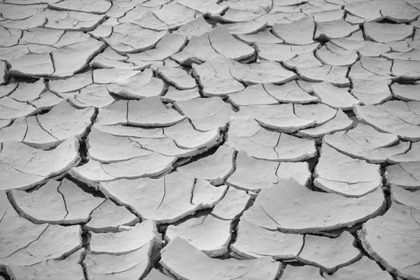 Suolo incrinato, terra siccità così a lungo senza acqua, primo piano — Foto Stock