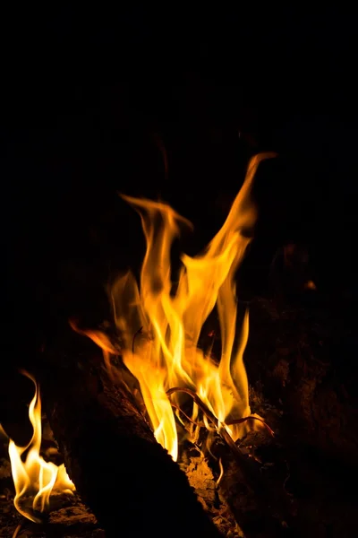 Fire flame — Stock Photo, Image