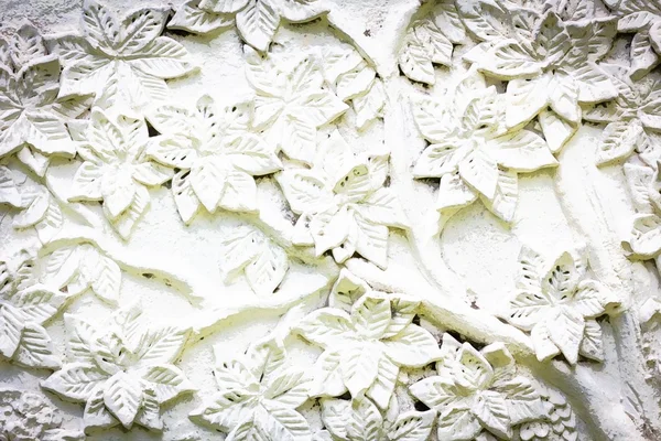 White stucco with flower texture — Stock Photo, Image