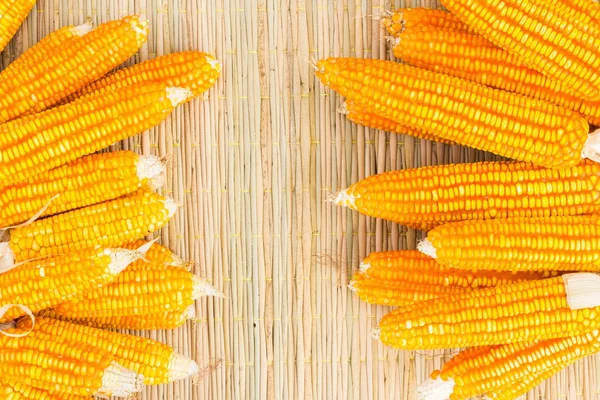 Dry corn on thai traditional mat with copyspace — Stock Photo, Image