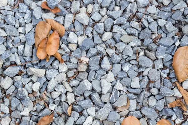 Blue rock texture on the ground, with dry leaves, background. — Stock Photo, Image