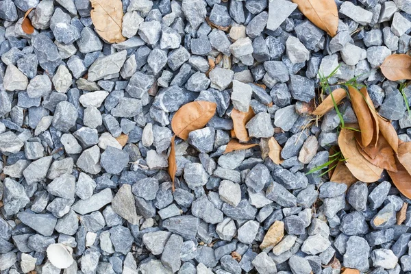 Blue rock texture on the ground, with dry leaves, background. — Stock Photo, Image