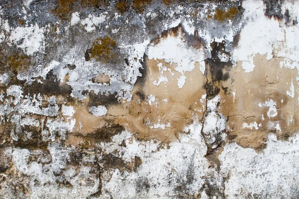 Staré poškozené grunge stěny pozadí nebo textura — Stock fotografie
