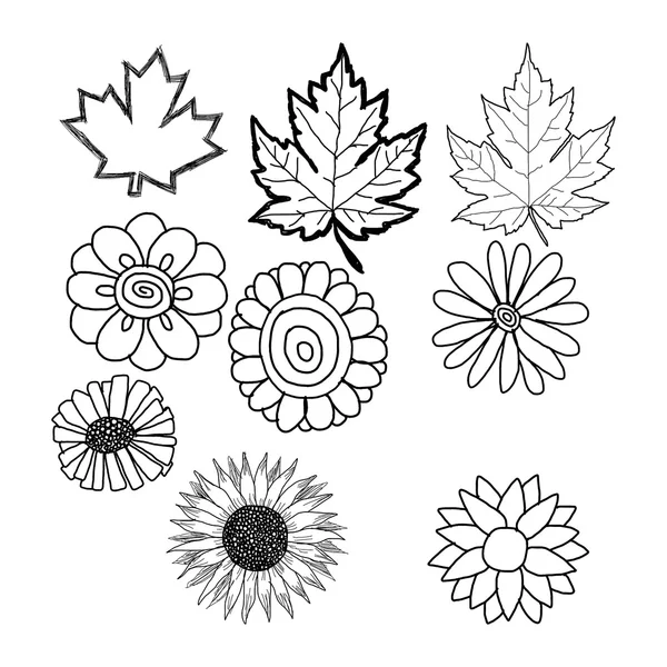 Griffes de fleurs et de feuilles dessinées à la main — Image vectorielle