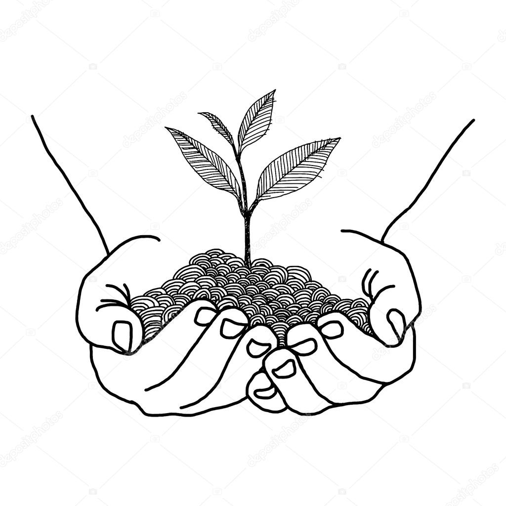 doodles of hands holding seedling design