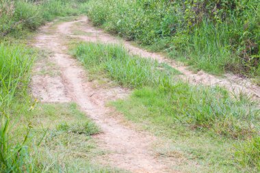 Köy yolunda çok yönlendiren eski bir sınır ile