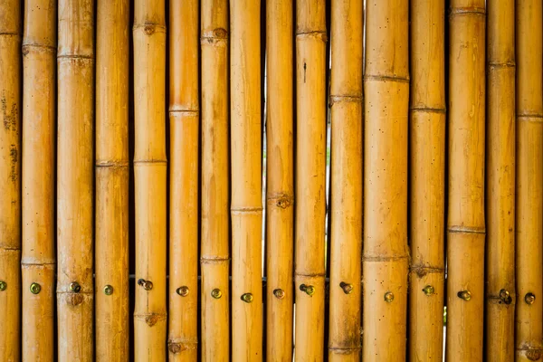 Closeup yellow bamboo fence background — Stock Photo, Image
