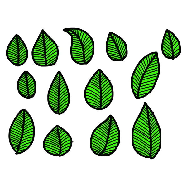 Vector ilustração mão desenhado doodles verde folhas coleção —  Vetores de Stock