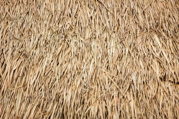 Techo hecho de hojas secas de la hierba cogón —  Fotos de Stock