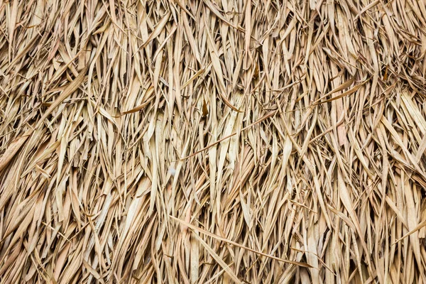 Roof made of dried leaves of the cogon grass — Stock Photo, Image