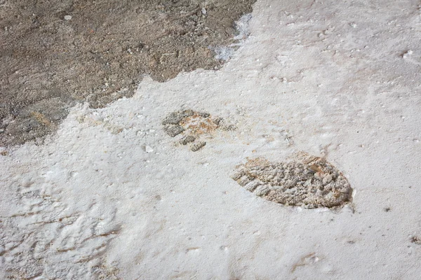 Huella de bota única en hormigón húmedo en obra — Foto de Stock