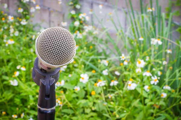 Micrófono en el fondo del jardín borroso con flor blanca — Foto de Stock