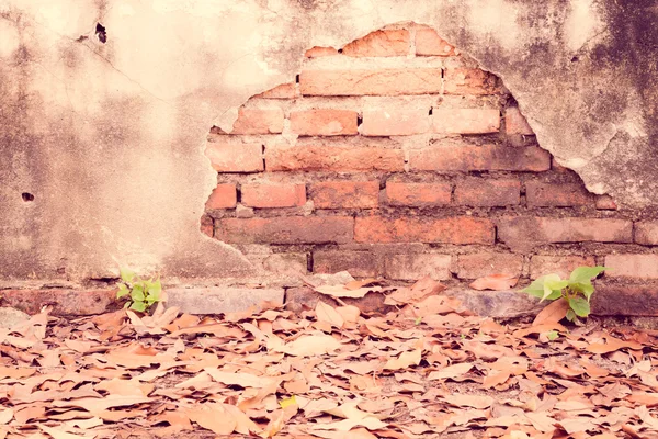 Fond de mur de brique vintage en béton fissuré, style vintage et — Photo