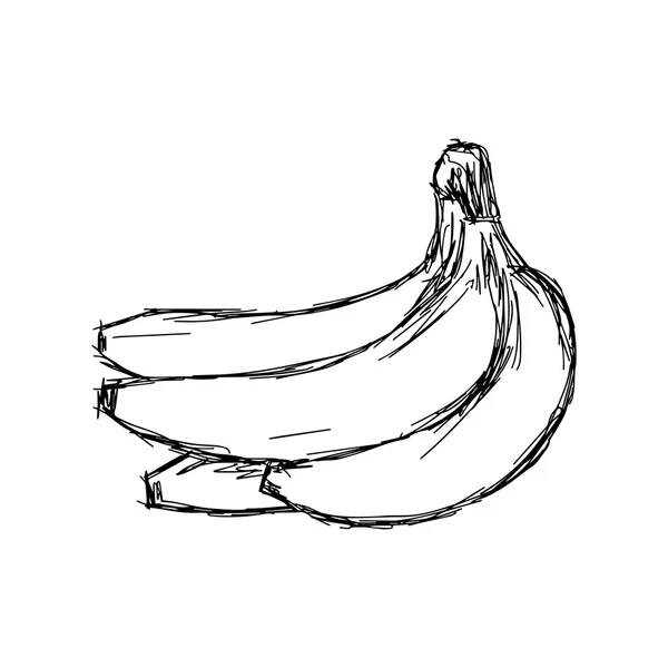 Иллюстрация векторные каракули руки нарисованы из наброска банановой связки iso — стоковый вектор