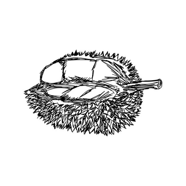 Ilustração vetor doodle mão desenhada de esboço durian isolado . —  Vetores de Stock