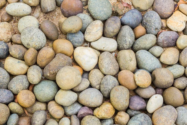 Pebbles in many shapes on the beach, abstract backgound — Stock Photo, Image