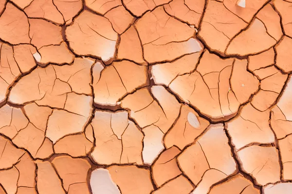 Cracked earth in dry land with beautiful texture — Stock Photo, Image