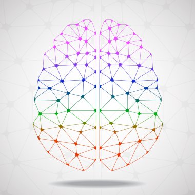 Soyut geometrik beyin, ağ bağlantıları