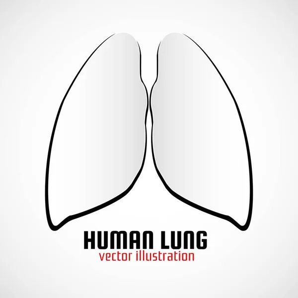 Pulmones humanos con sombra sobre fondo blanco. Concepto médico, logotipo, símbolo, icono, ilustración vectorial — Archivo Imágenes Vectoriales