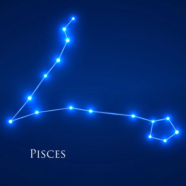 Constelação Peixes signo do zodíaco. Ilustração vetorial. Eps 10 —  Vetores de Stock