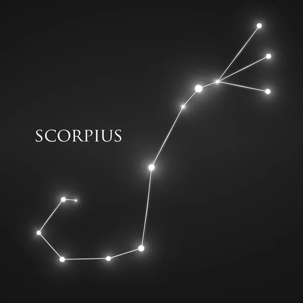 Constellation Scorpius  Zodiac Sign — Stock Vector